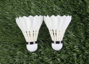 游戏试玩模拟器-马来西亚羽毛球队爆冷法国羽毛球队，谌龙关键制胜