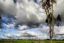 开云棋牌下载-赛道上的永恒瞬间，蒂亚戈·拉满评分的争冠之夜