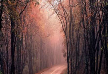 Kaiyuan Game Card-中超重磅对决：AC米兰迎战巴萨，官方公布名单