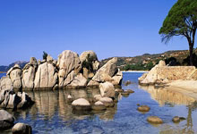 开云官网-冰火两重天！姆巴佩反噬旧主引爆足坛，NBA权力游戏暗藏核爆级交易